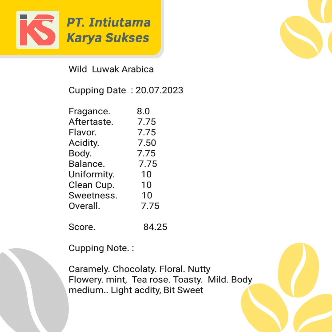 Premium Wild Civet Coffee Unparalleled Flavor Arabica Coffee Beans Kopi Luwak From Indonesian Expertly Roasted Coffee Beans