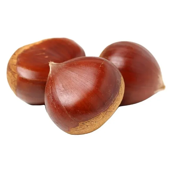 Высококачественные каштаны Свежие новые для продажи по низкой цене купить