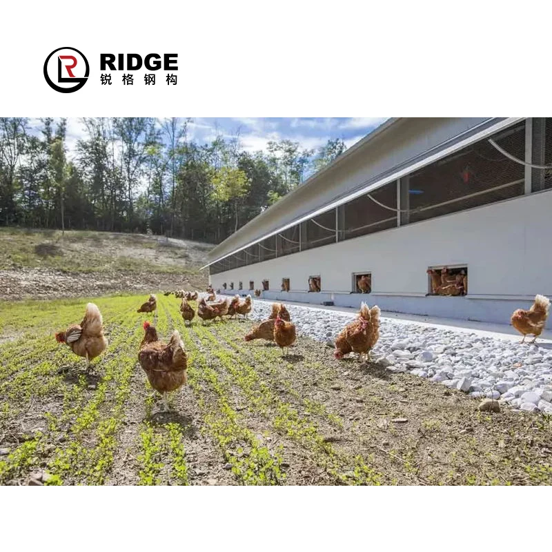 Low Price Pre-engineered Building Light Weight Metal Steel Structure Farm Warehouse Workshop Shed Office Building