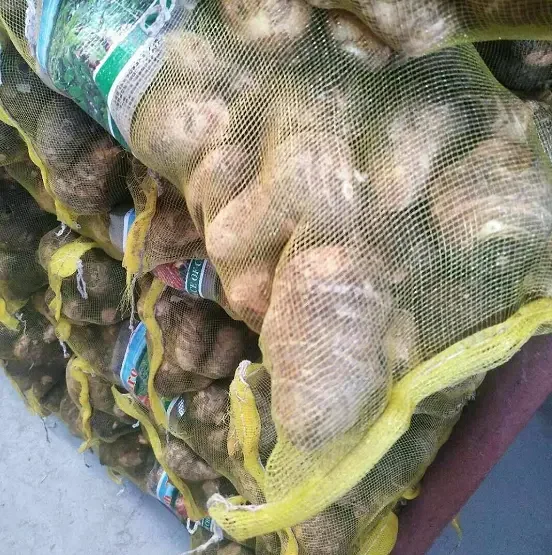 Taro cocoyam