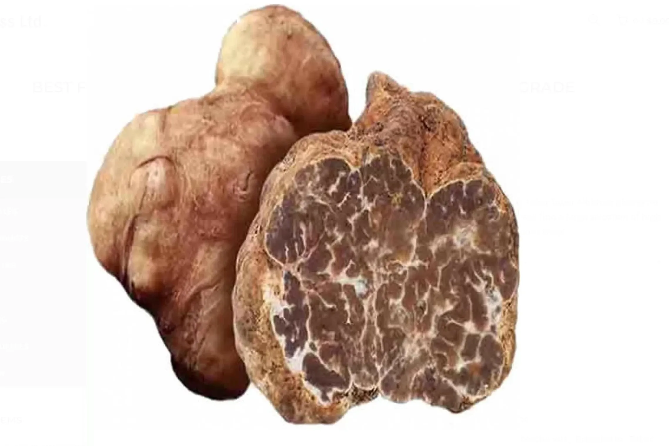 FRESH WHITE TRUFFLES TUBER ALBIDUM PICO - EXTRA GRADE