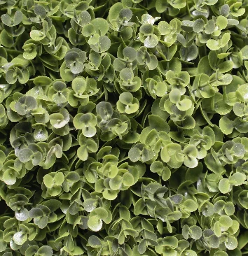 Xunmengyuan Direct Selling Hot Sale Pe Artificial Spring Green Eucalyptus Ball- 30cm for Indoor, Front Porch, Office Decor