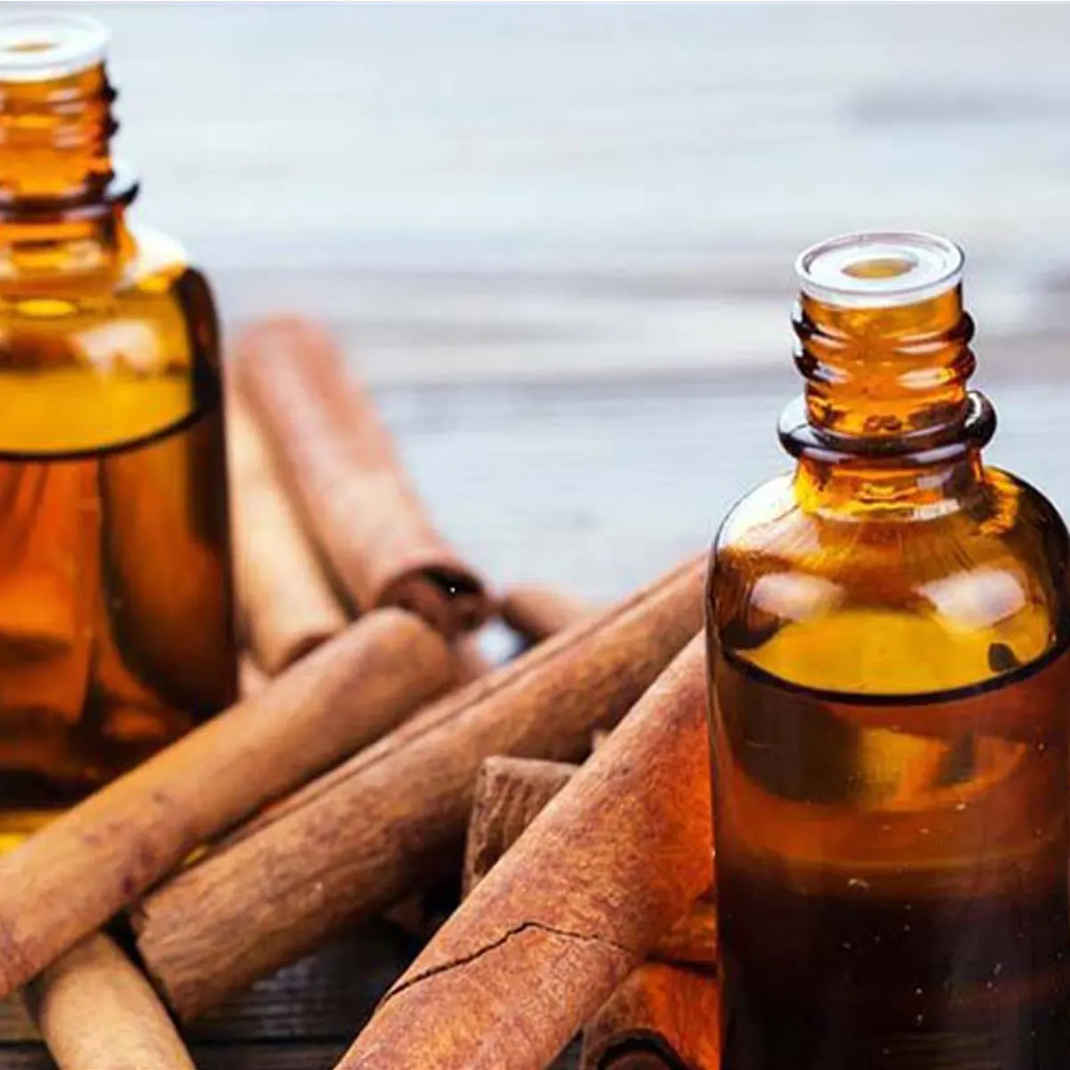 Wholesale Massage Aromatherapy Nature Cassia Oil Essential Oil