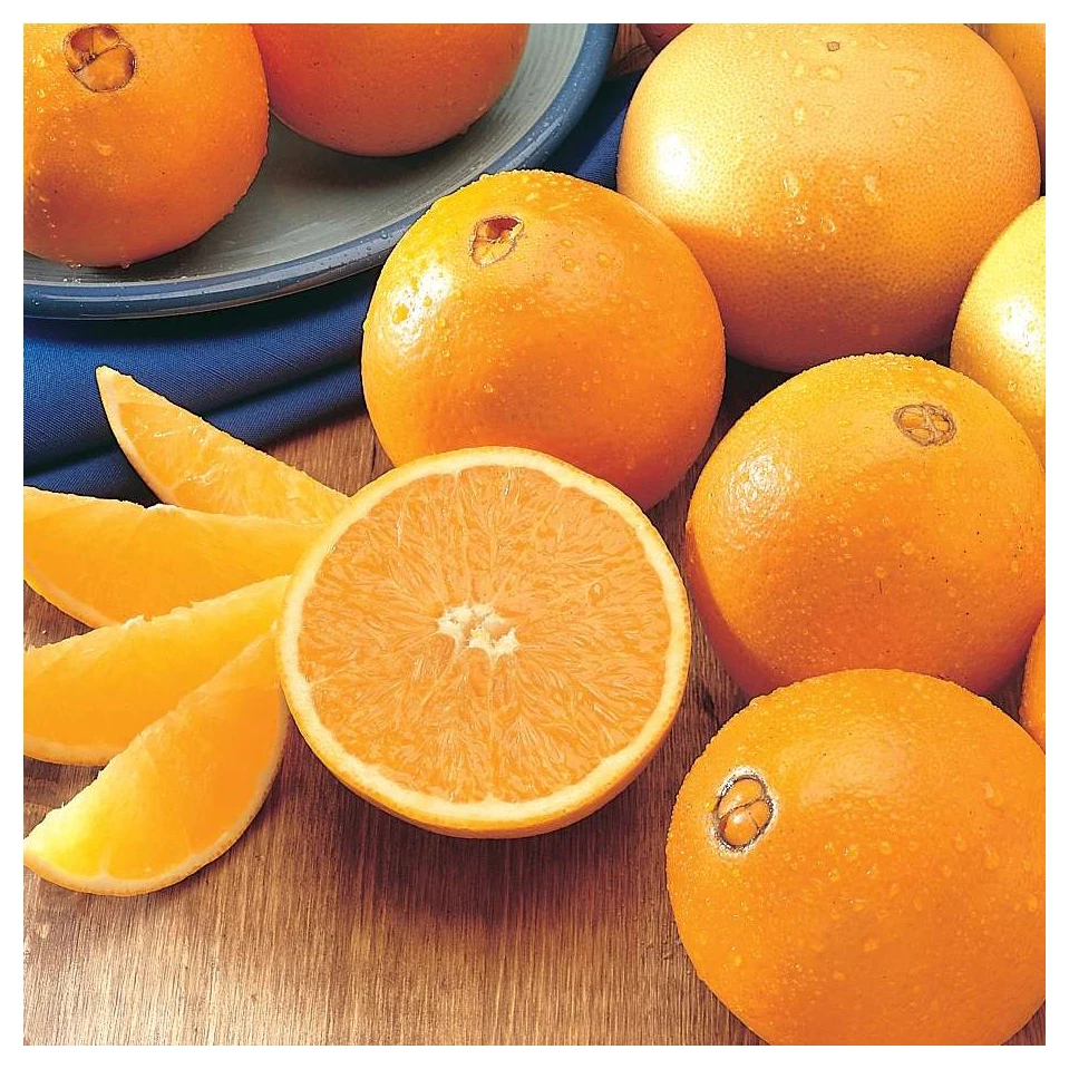 Highest grade sweet juicy fresh big fruit orange for sale Natural High Quality Sweet Fresh Citrus  Navel Orange
