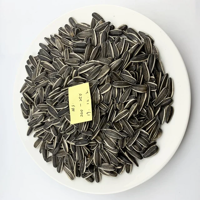 Wholesale  Roasted Sunflower Seeds Sunflower Kernel Seeds Sunflower Melon Seeds