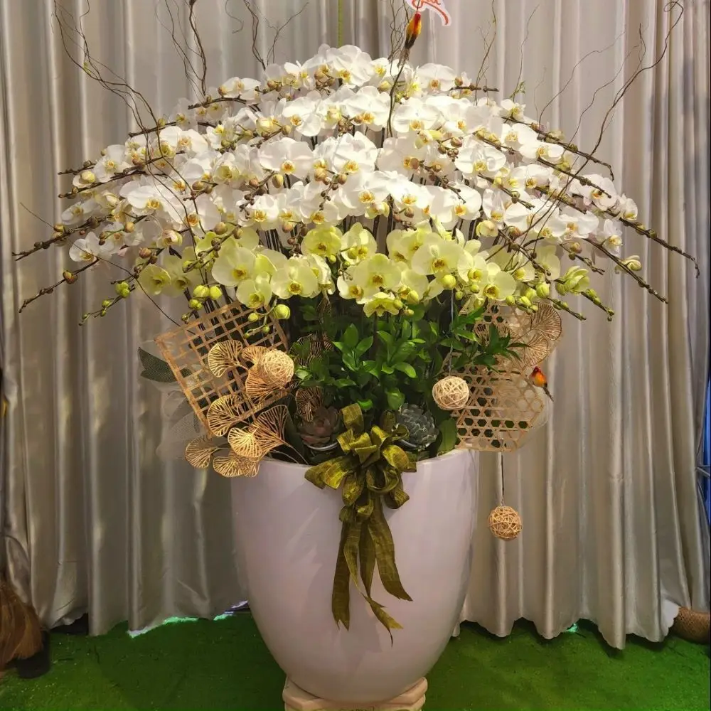 Phalaenopsis Orchid Natural Fast Delivery Export Decoration Fresh Flower Carton Outside Vietnam Manufacture