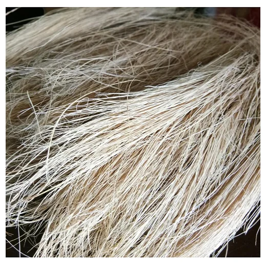 100% QUALITY BRISTLE FIBER EXPORTER