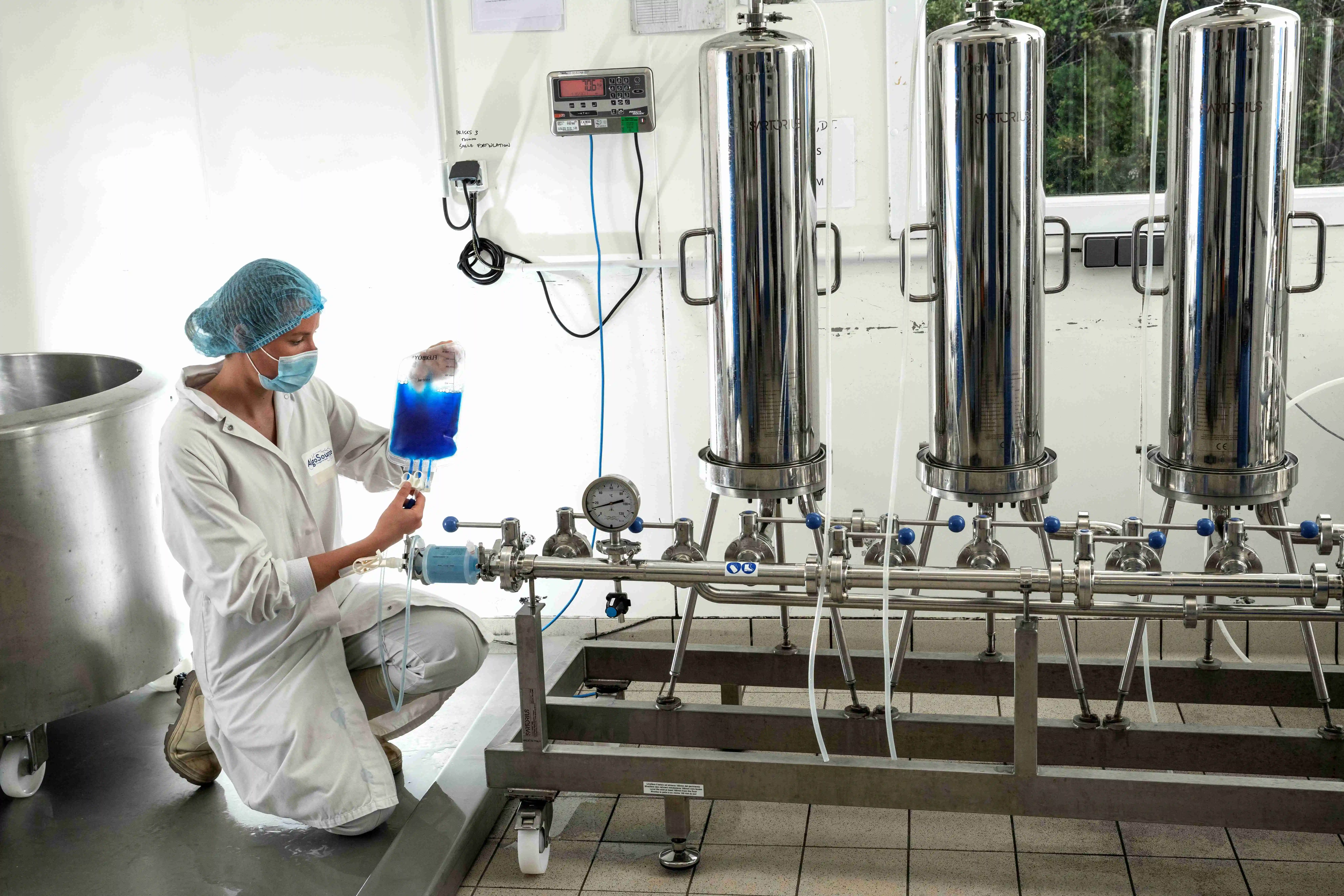 Private label liquid spirulina extract rich in phycocyanin and cooper for dietary supplement