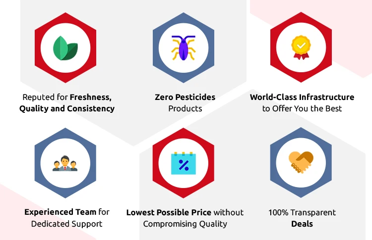 Конкурентоспособная цена, оптовая продажа, высококачественные питательные красные Замороженные гранаты для подлинных оптовых покупателей