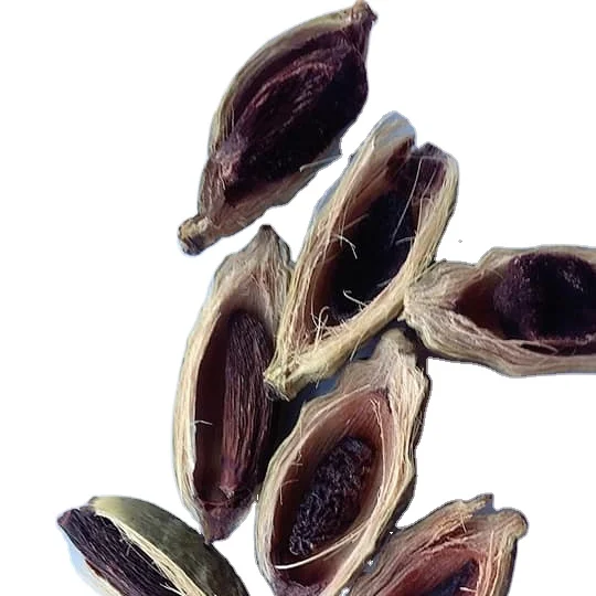 2023 Top Trending Deal Shock For Export Standard Dried Whole And Split Buai Betel Nut Wholesale In Bulk Quantity With Best Price