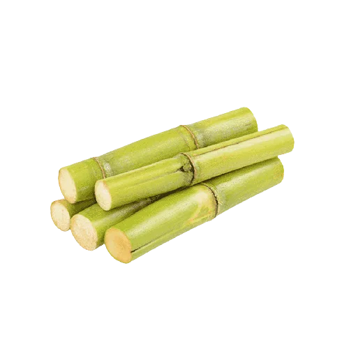 Замороженный сахарный тростник лучшего качества из Канады