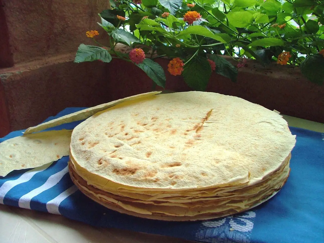 Best Selling Artisan crispy and flatbread Pane Carasau 500gx10 made in Sardinia with Italian durum wheat ideal with Salads