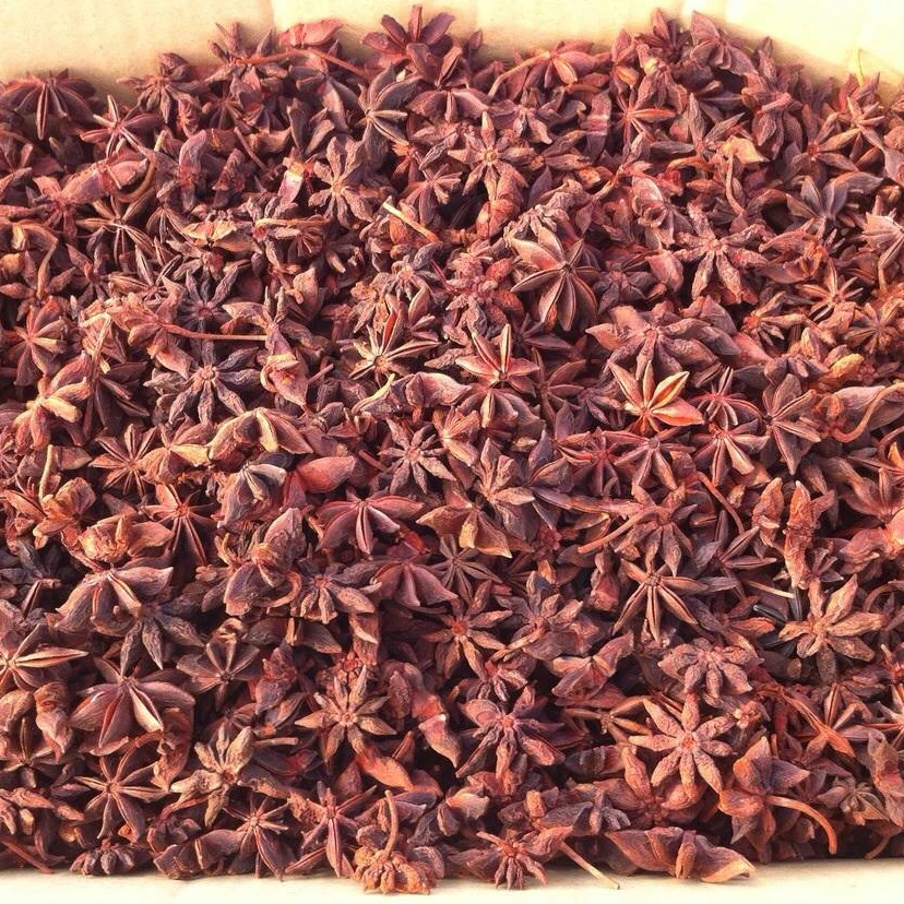 Star Anise Dried Star Aniseed Spring Star Anise High Quality Best Price in Vietnam