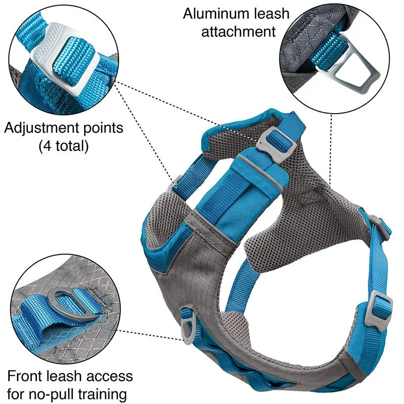 2024 New Design Printed Dog Harness Thermal Sublimation Polyester Material Pet Dog Collar Harness And Leash Set