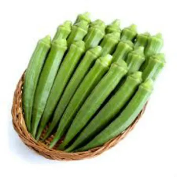 HOT SALE BEST SELLER 100% ORGANIC VEGETABLE FRESH OKRA from Thailand