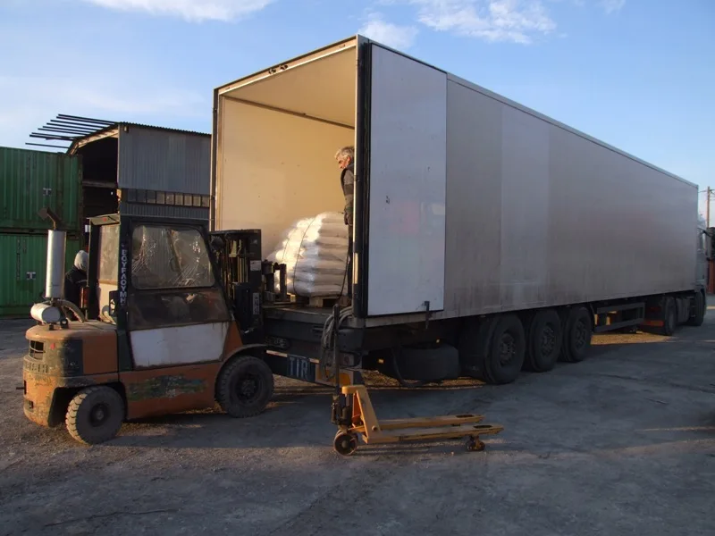 TEFF GRAIN NEW STOCK