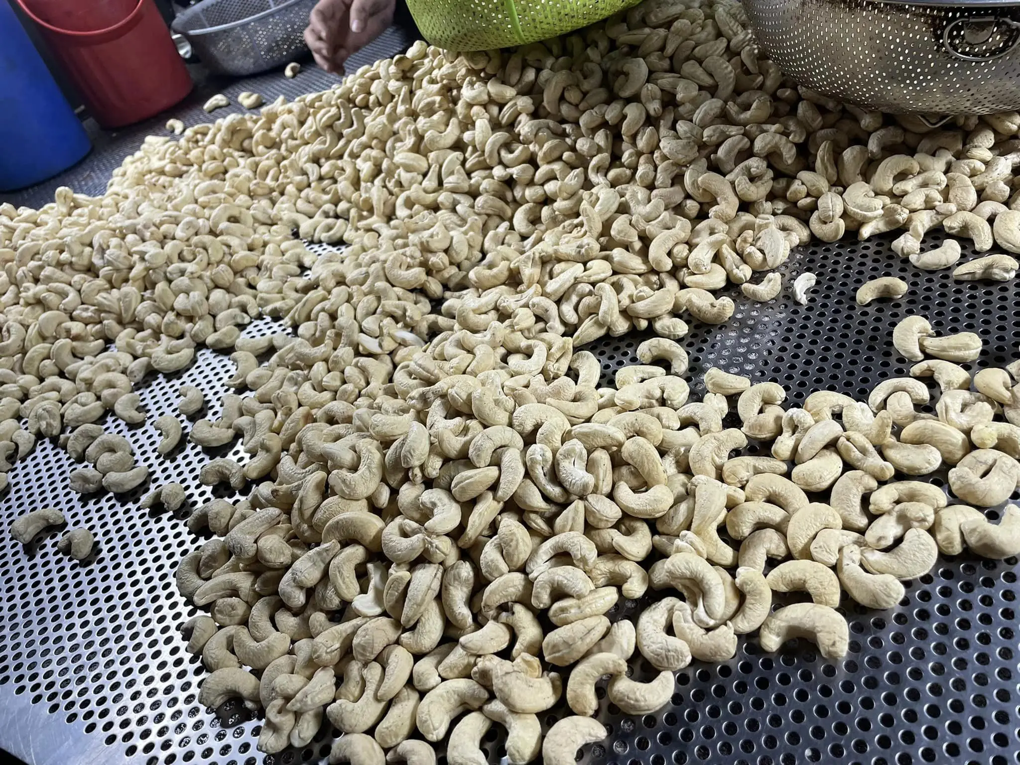 Best Kaju Quality of Raw Cashew Nut Kernel W320 W240 W450 LP Vietnam - Anna Do W/a +84982153058