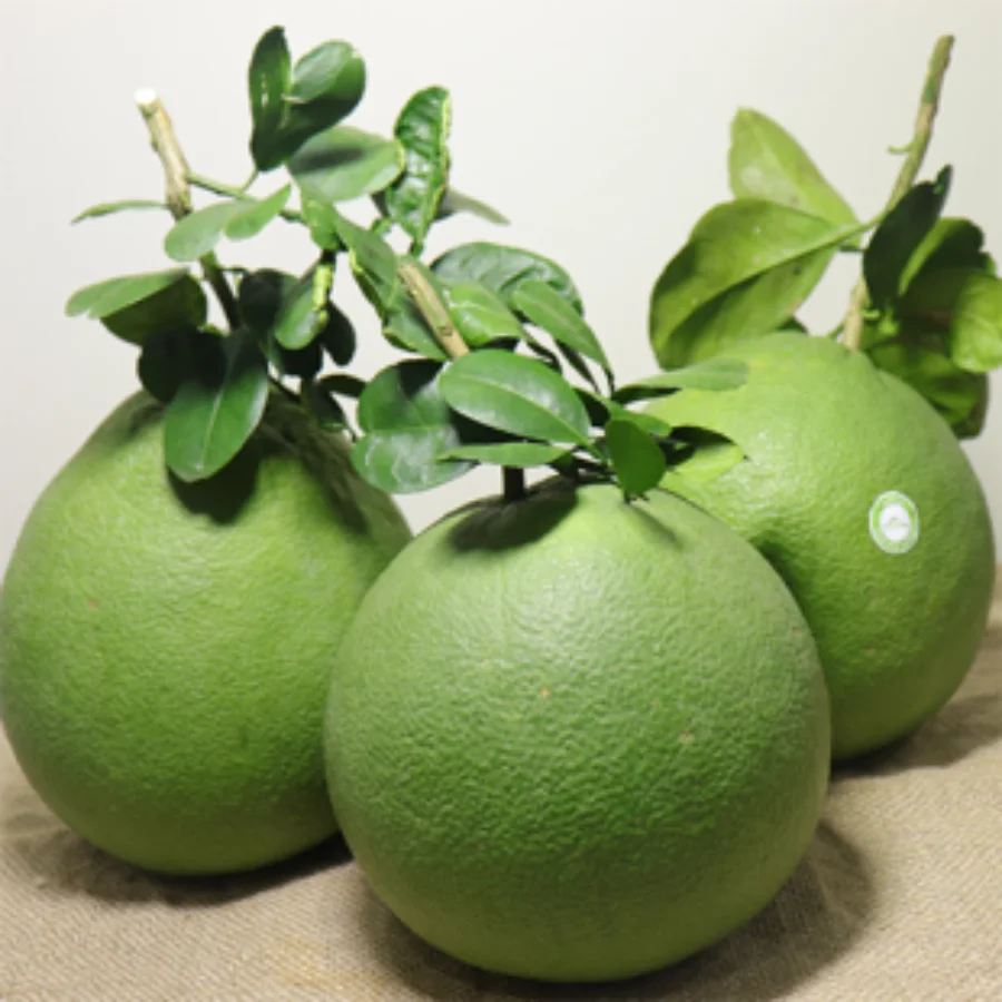 Grapefruit Green Fresh Fruit From Vietnam /  Wholesale Organic Fruit From Vietnam