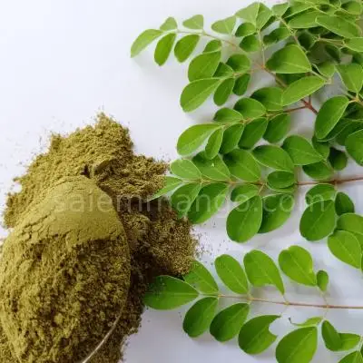 100% Organic Antioxidant Natural Moringa Oleifera Supplement Moringa Leaf Powder Moringa Powder Export From BD