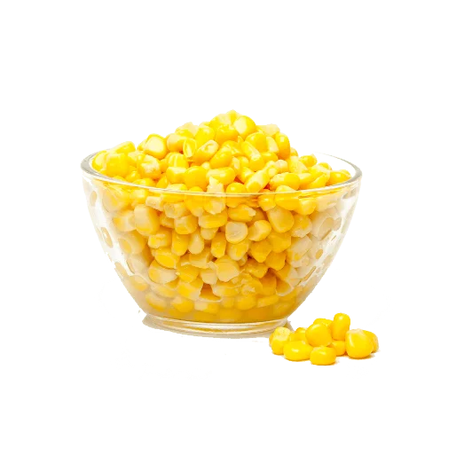 Best Grade in High Quality Organic Corn best quality dried yellow corn at Most Favorable Price