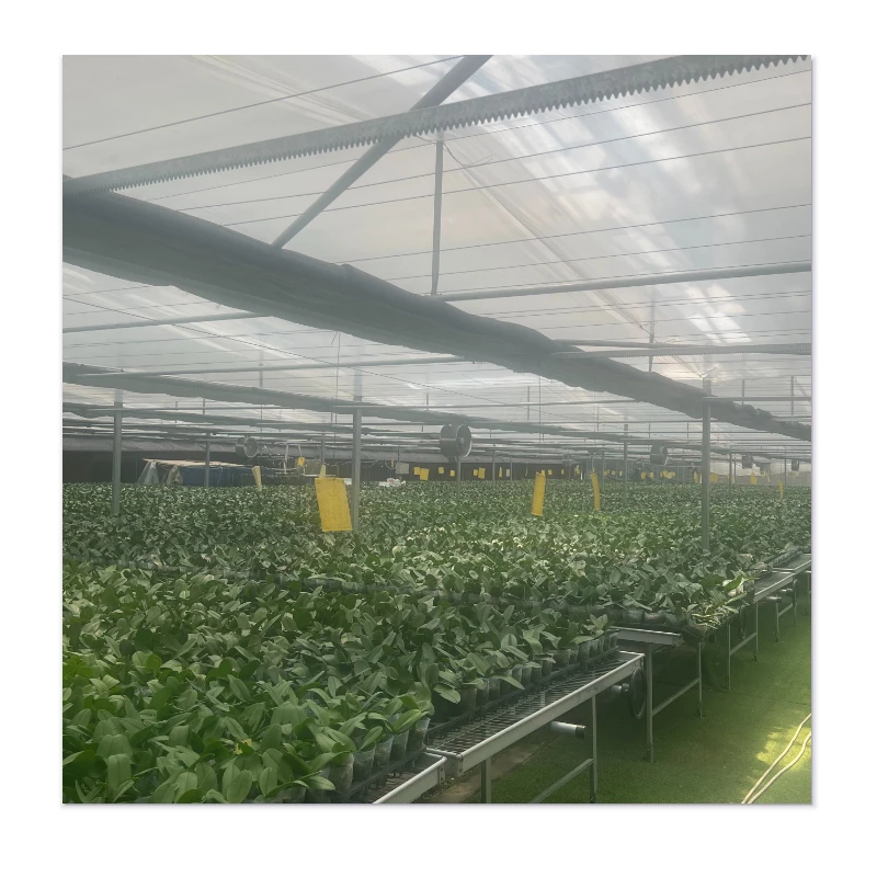 Advanced Affordable Greenhouses with Wind-Resistance, Soil Moisture Sensors & Drip Irrigation Efficiency