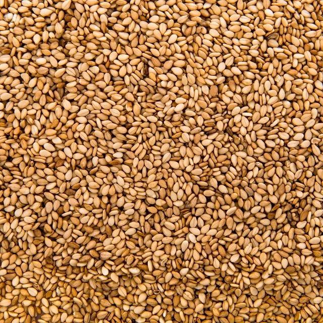 2024 New Crop Graded Quality Raw White Sesame Seeds 100% Natural Roasted Sesame Seed