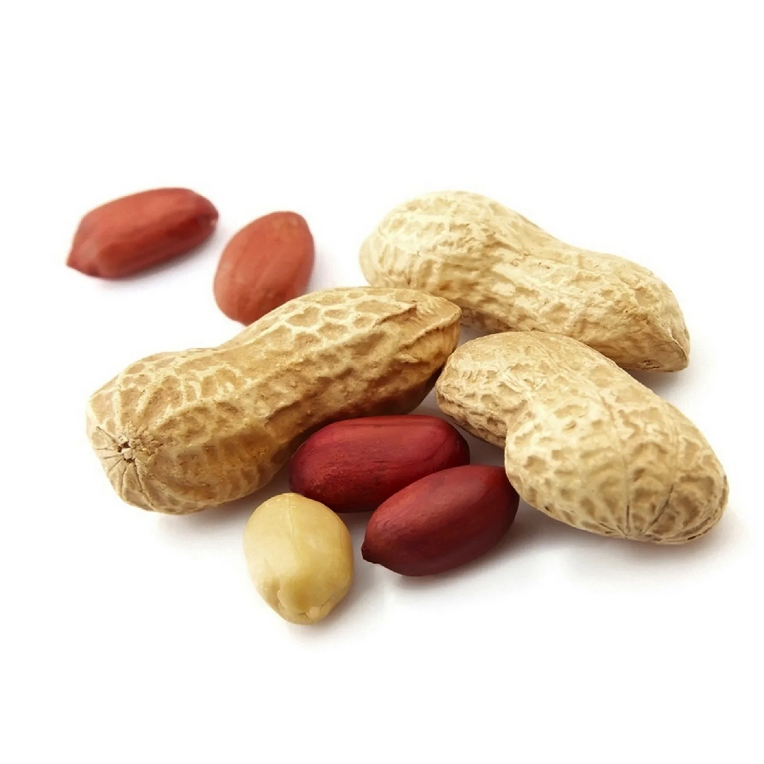 High Quality 100% Natural Pure Bold Peanuts / Groundnuts Kernel Available in Bulk