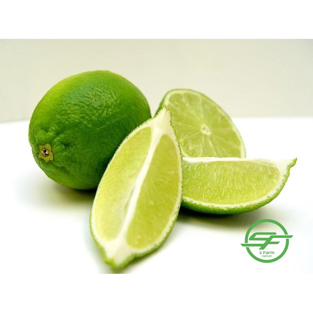Seedless Lime Natural from Vietnam, Green Lemon Healthy Nutritious Fresh Sweet Fresh Citrus Fruit Fresh Good Quality Fresh Sour