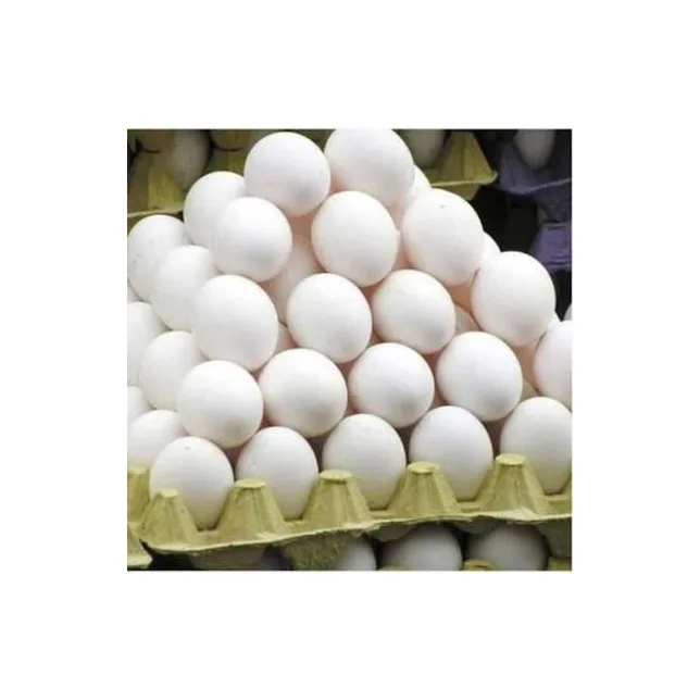 Свежие куриные яйца для фермы, коричневые и белые куриные яйца из ракушек, оптовая продажа, 100% органические белые яйца, Прямая поставка с завода, белые