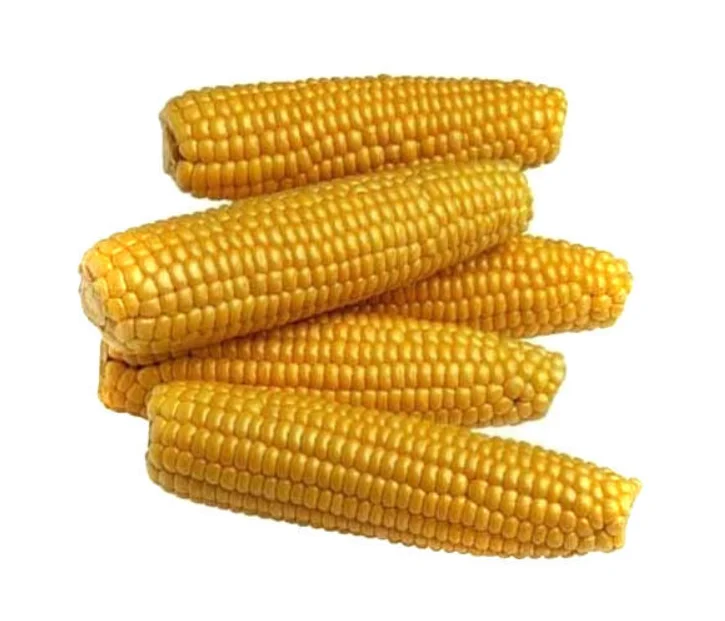 Brazilian Yellow Corn for Human Consumption