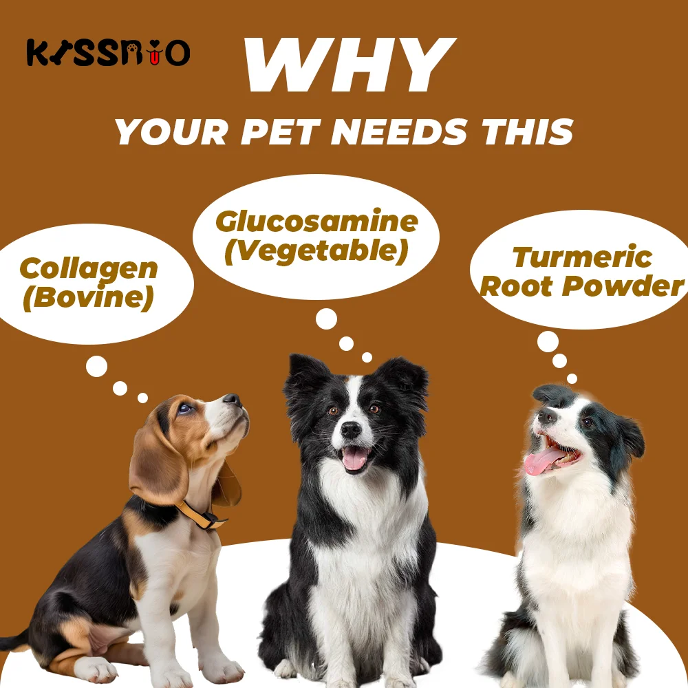 Клуб здоровья | Добавки для собак кошек животных индейки тунец оптовая продажа ухода за домашними животными мускулистый белок