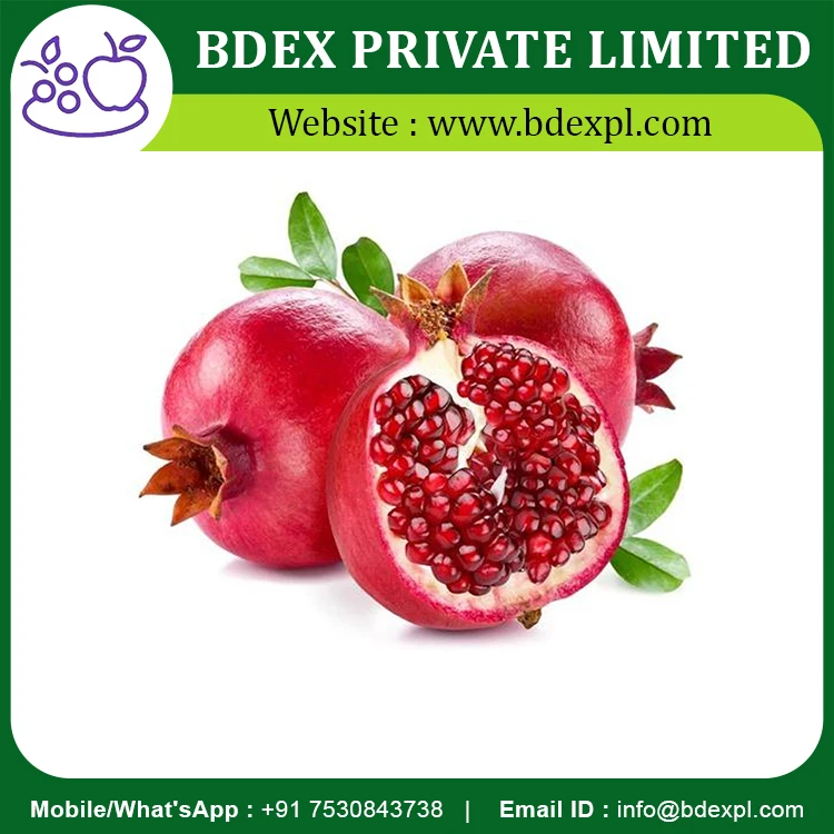 Indian Bulk Supplier  Fresh Pomegranate Fruits At Wholesale Price