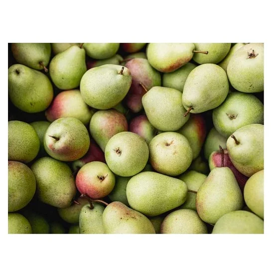 Wholesale Cheap Price Best Quality Fresh Fruit Sweet Pears For Sale Worldwide Exports