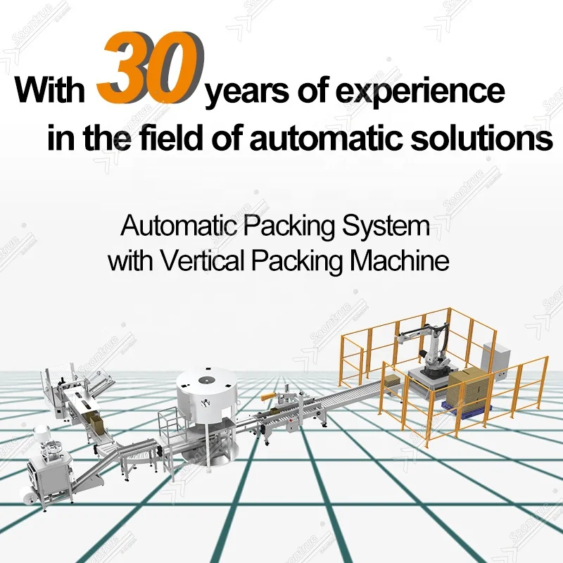 fully automatic 100g - 1kg flour masala powder spice auger filling vertical packing machine