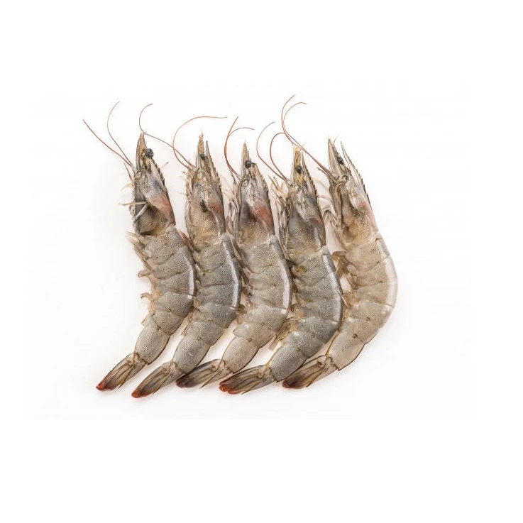 Cheap Wholesale Top Quality Red Shrimps Prawns / Frozen Vannamei Shrimp (Seafood) In Bulk