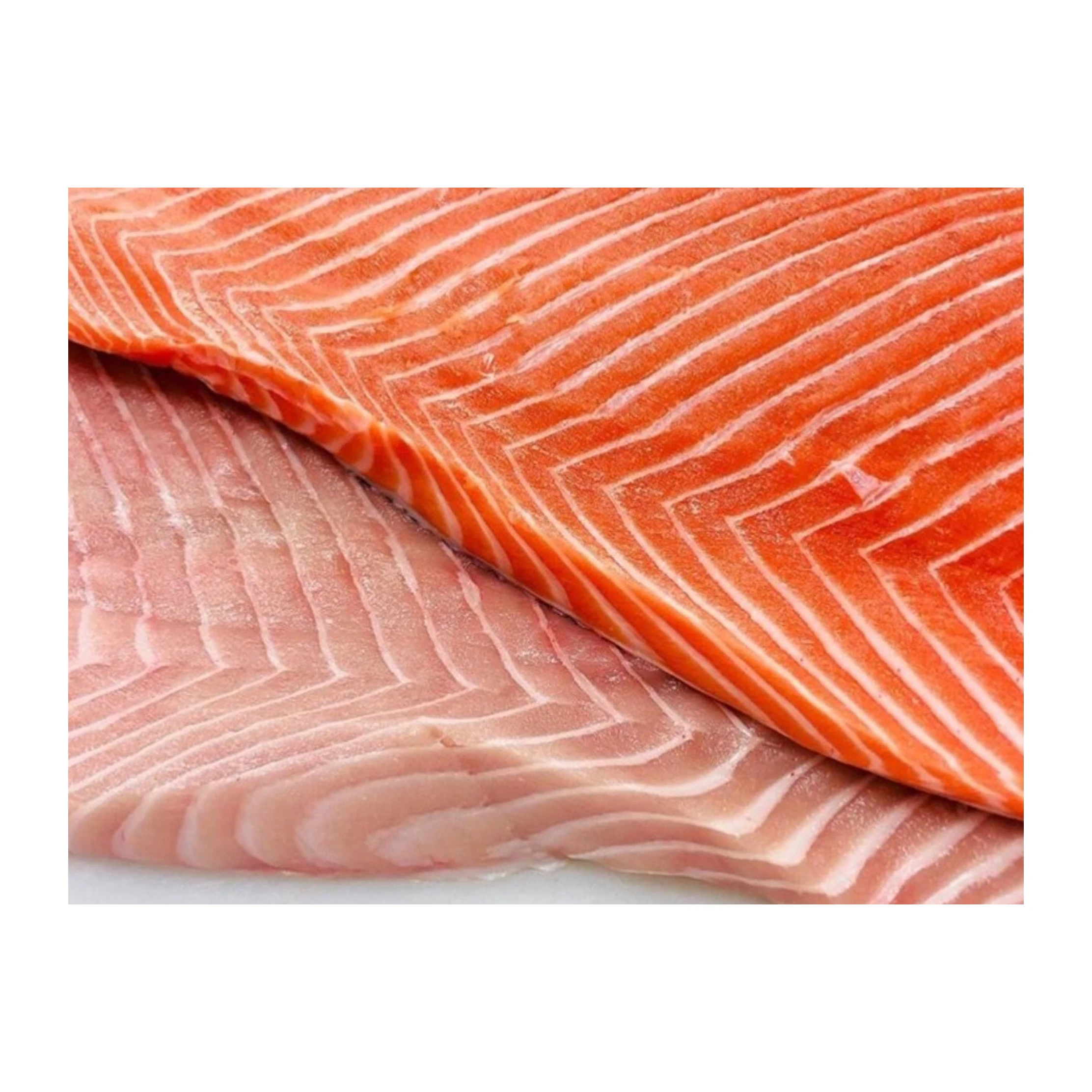 Salmon Fish Frozen Fillet Fresh And Frozen Atlantic Salmon Fish/ Frozen King Salmon Fillet