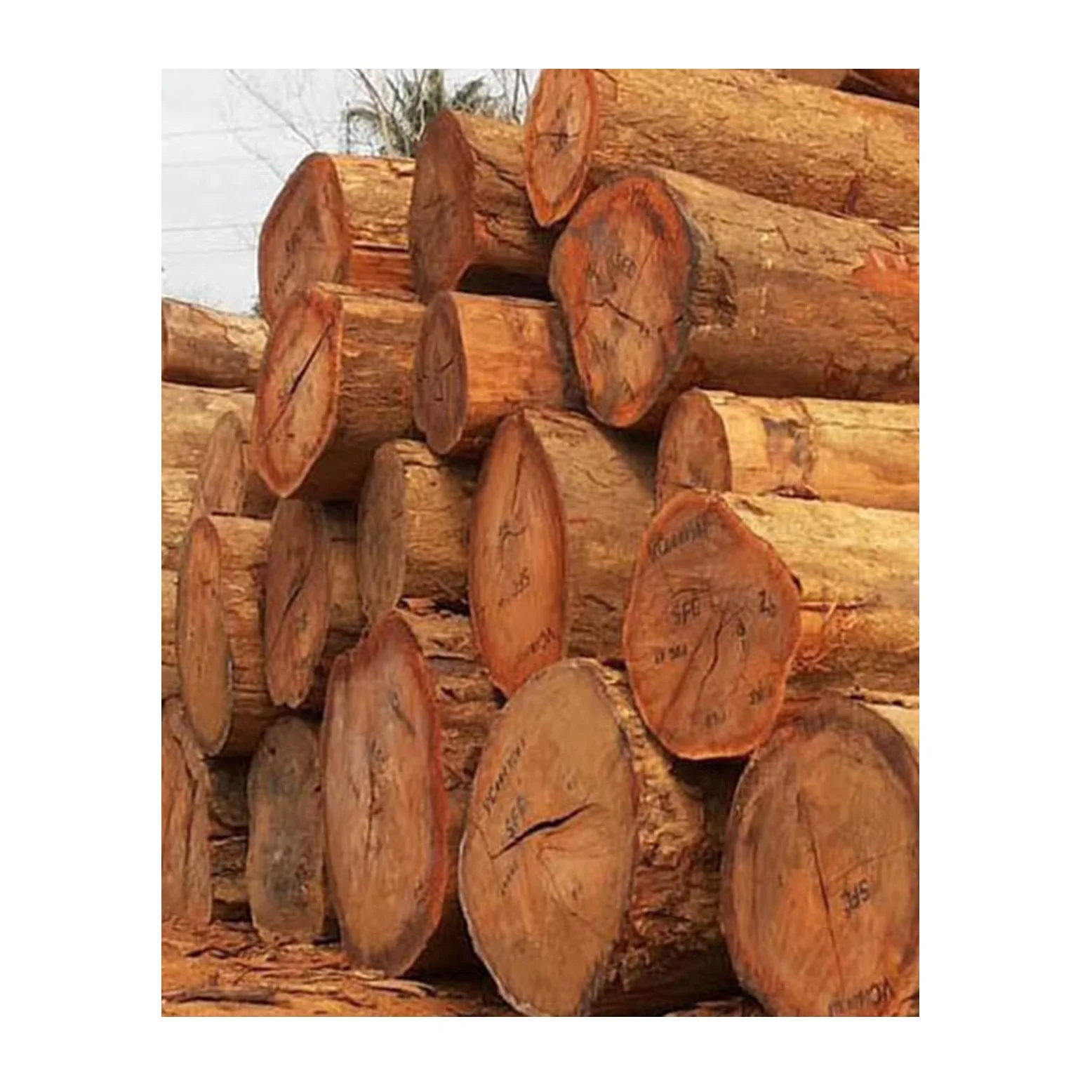 Wholesale Price Meranti Wood Logs Manufacturer, Supplier