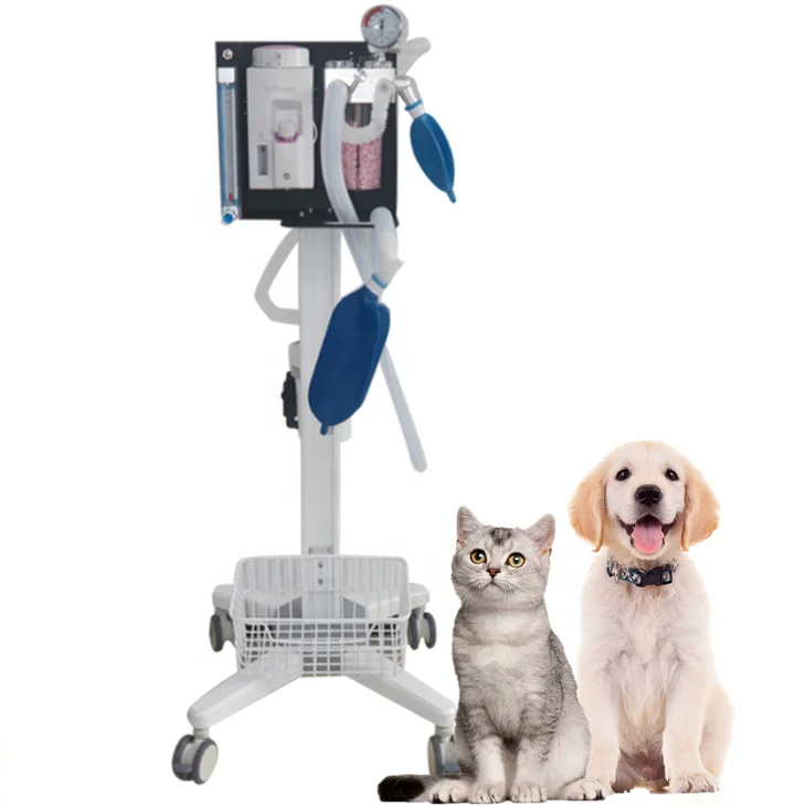 HACEMEY hot selling wall mount animal Veterinary Icu Anesthesia machine Equipment system vet equipment