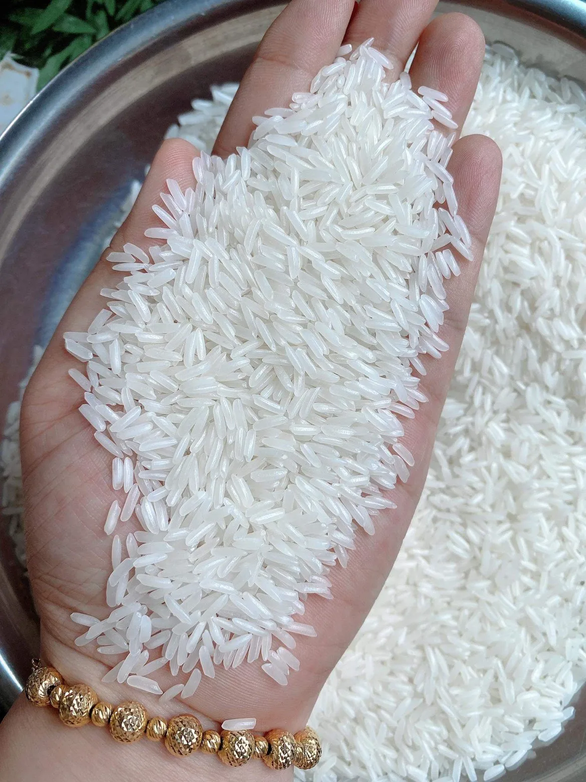 Jasmine Rice 5% broken Long Grain High Quality Export Purchase High Protein Customized Packaging Vietnam Trading