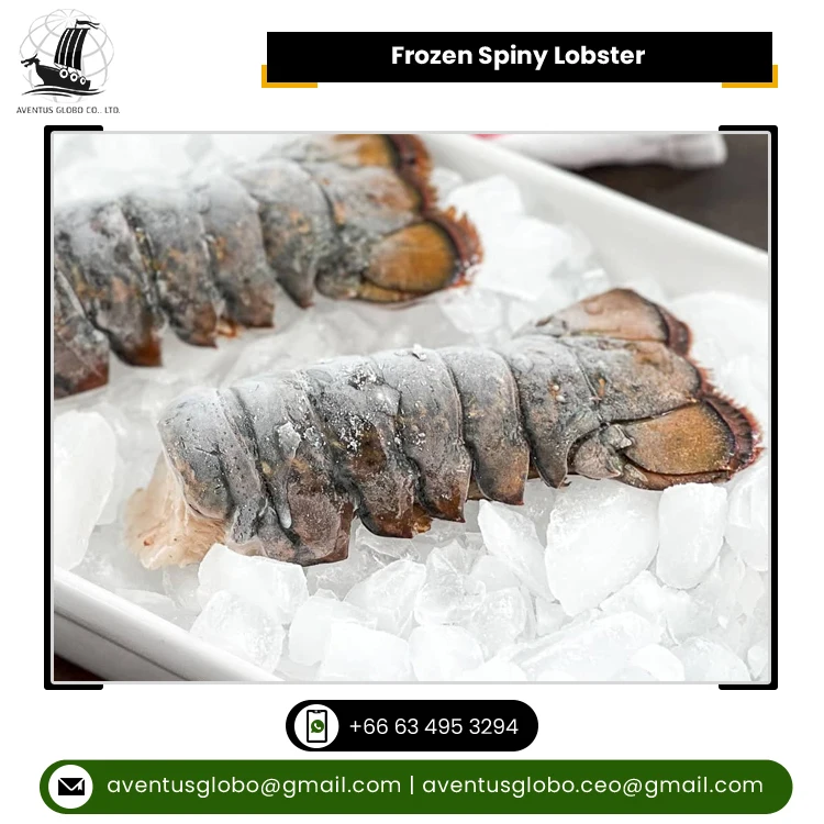 Thailand Origin Supplier of Highly Nutritious Seafood Whole Round Cooked Frozen Spiny Lobster at Reliable Market Price