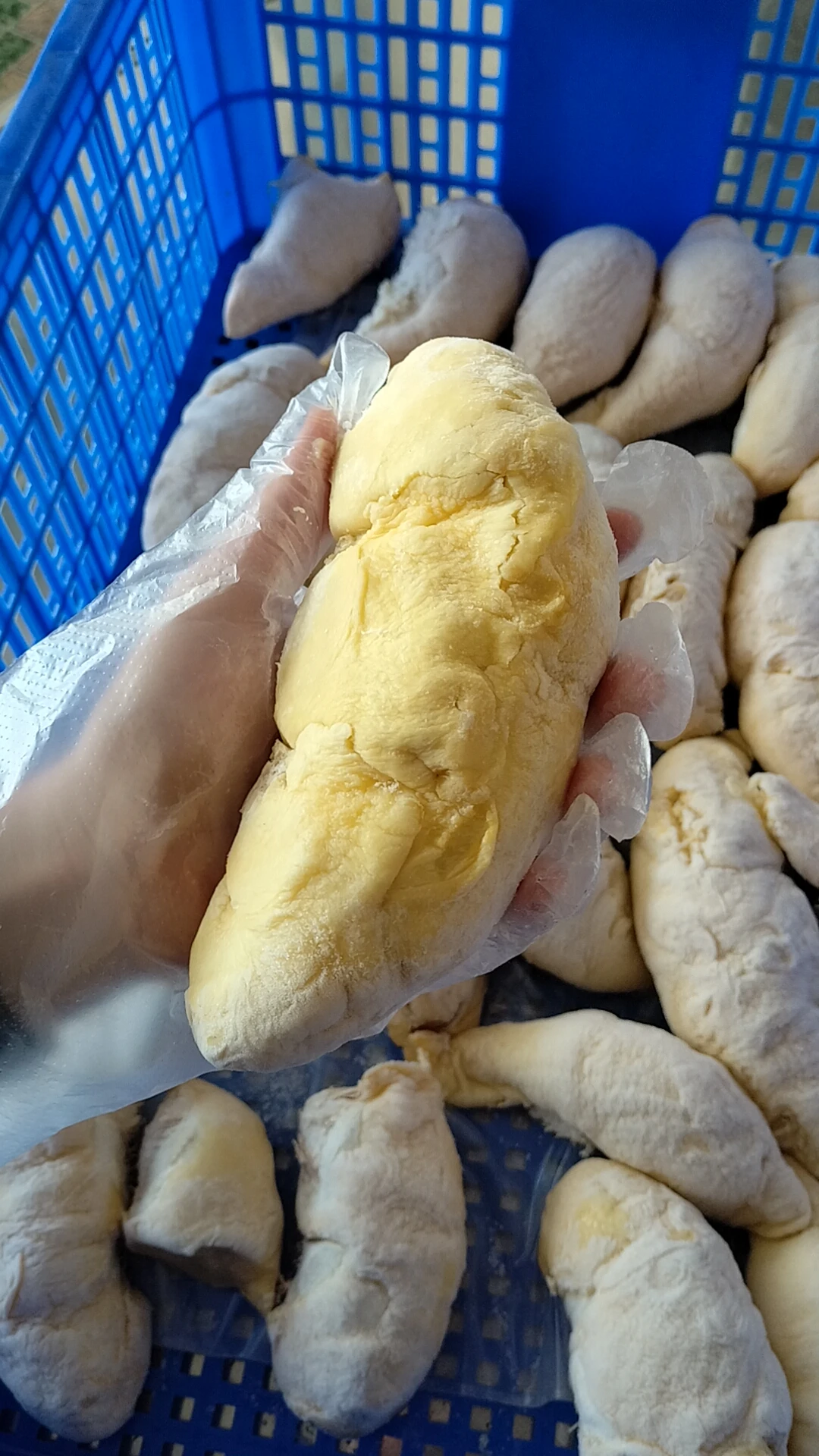 Wholesale Price Vietnam Monthong Ri6 WHOLE IQF Premium Quality Sweet Carton Frozen Durian for export