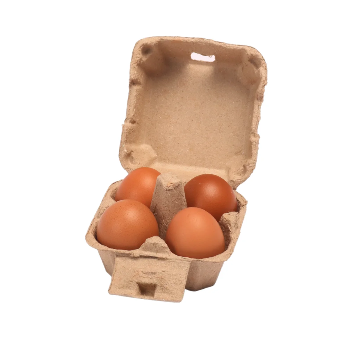 Egg Boxes With Recycle paper  Bio Degradable Molded Paper Pulp Manufacturer Competitive Price Egg Box Egg tray made in Viet Nam