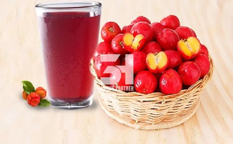 High quality and competitive price Acerola Puree Viet Nam in stock Contact  Ms.Nancy +84 981 85 90 69