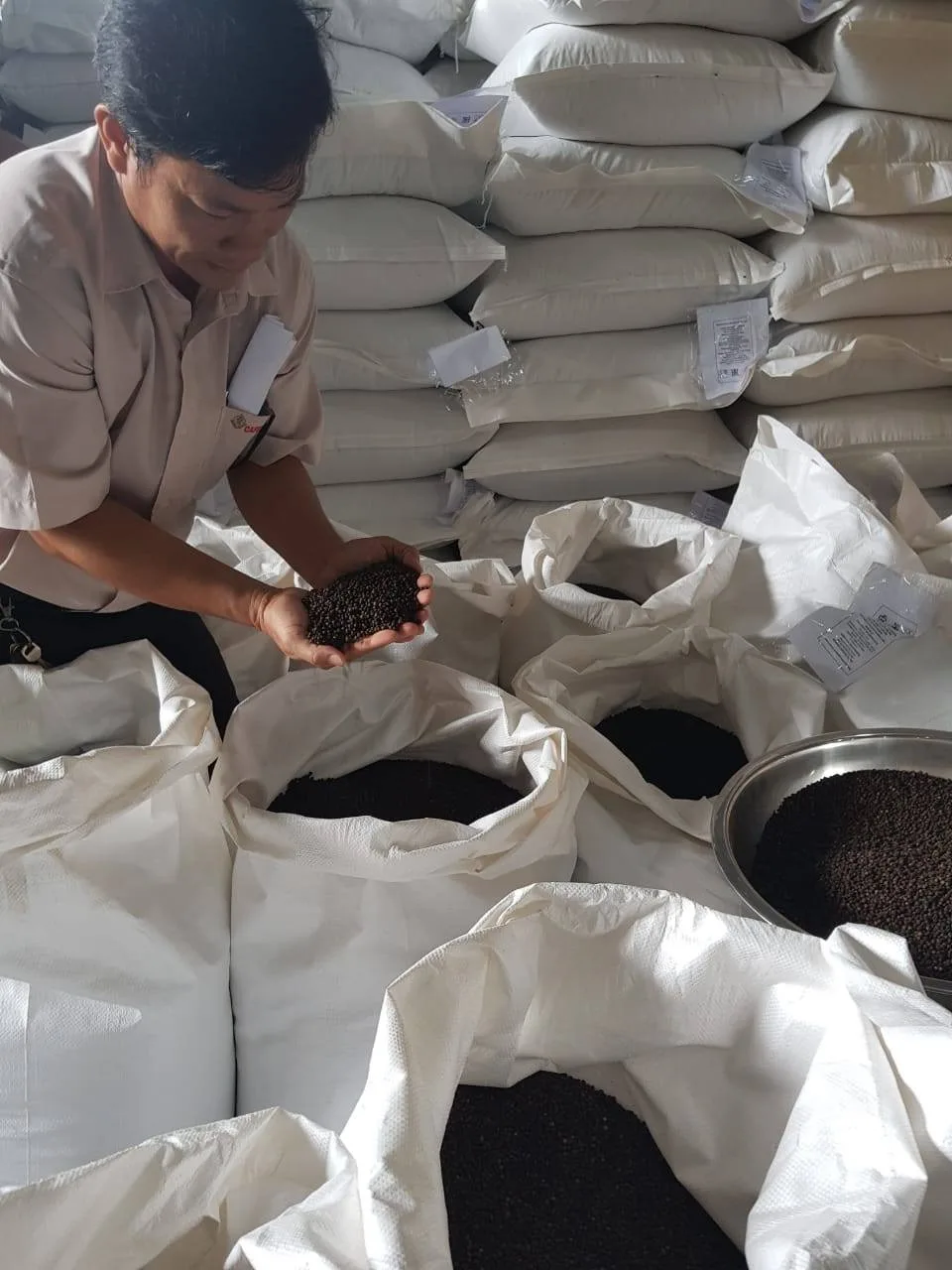 Вьетнамская машина для очистки черного перца жирный Аста вьетнамского происхождения новый урожай