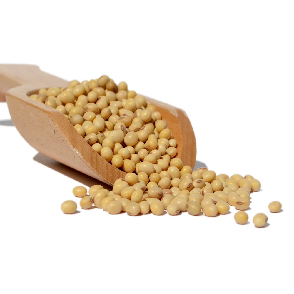 Organic Non-GMO Soybean High Quality Yellow Soybean for Animal Feed Fresh and Dried Direct Bulk Wholesale