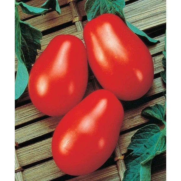 Sweet Red Hybrid Tomato Seeds Fresh Tomatoes in Red Style Packaging for Sale