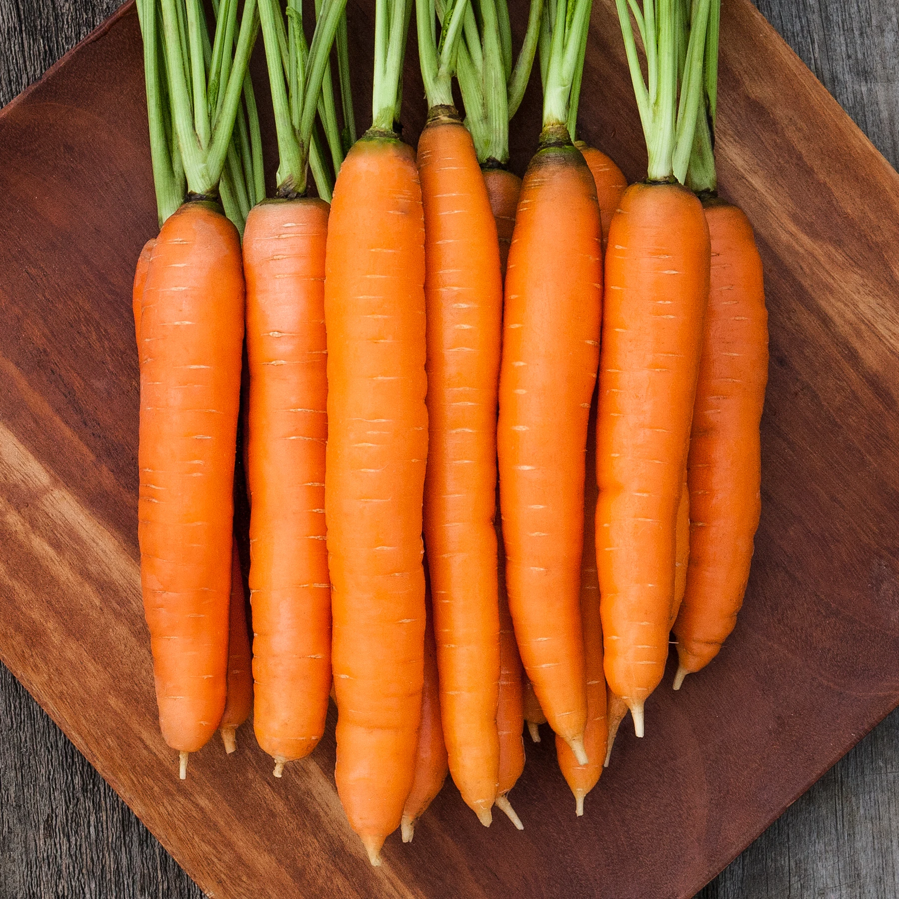 Carrot fresh organic carrots high quality in carton S M L professional export fresh carrot hot sale