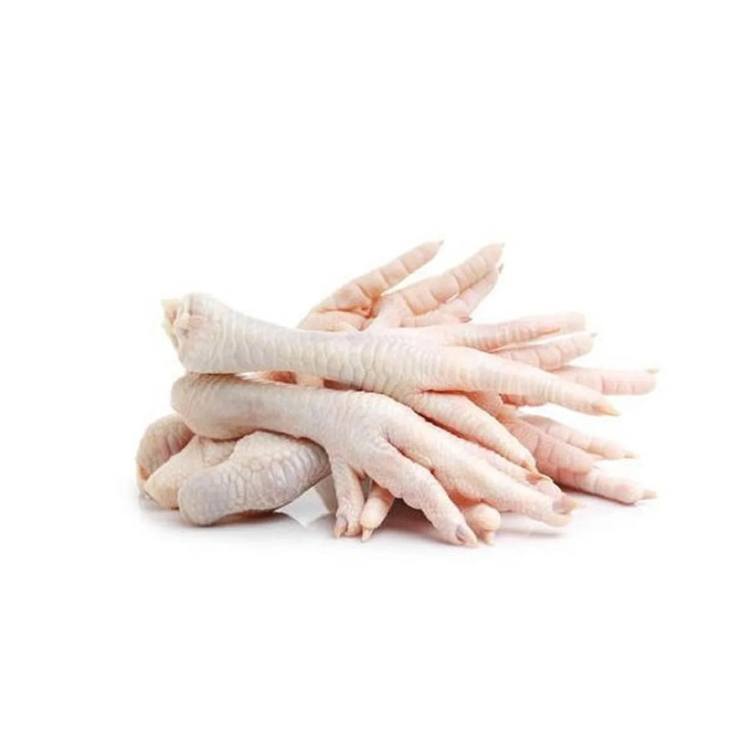 Bulk Stock Available Of Halal Frozen Chicken Feet | Frozen Chicken Meat At Wholesale Prices