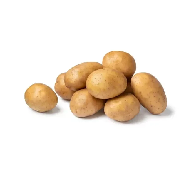 Fresh Potatoes 100% High Quality Export Oriented Low Price For Wholesale Price Fresh Potato From Bangladesh
