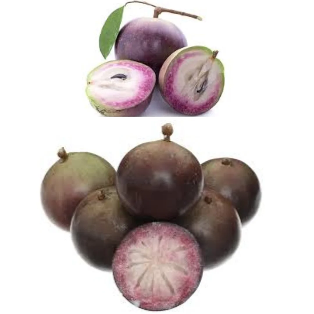 The Best Fresh Star Apple Sweet Taste Vietnamese Fresh Purple Star Apple red Star Apple White Star Apple Export Fruit